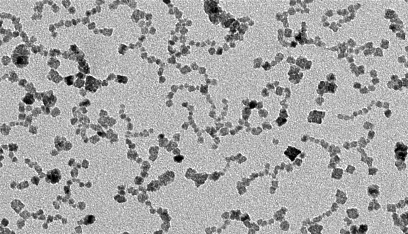 CeO2 nanoparticles observed by TEM