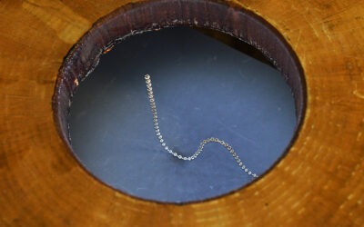 Le charmeur de serpent magnétique lauréat du concours “La preuve par l’image”