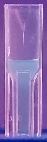 Les carbon dots, sondes fluorescentes