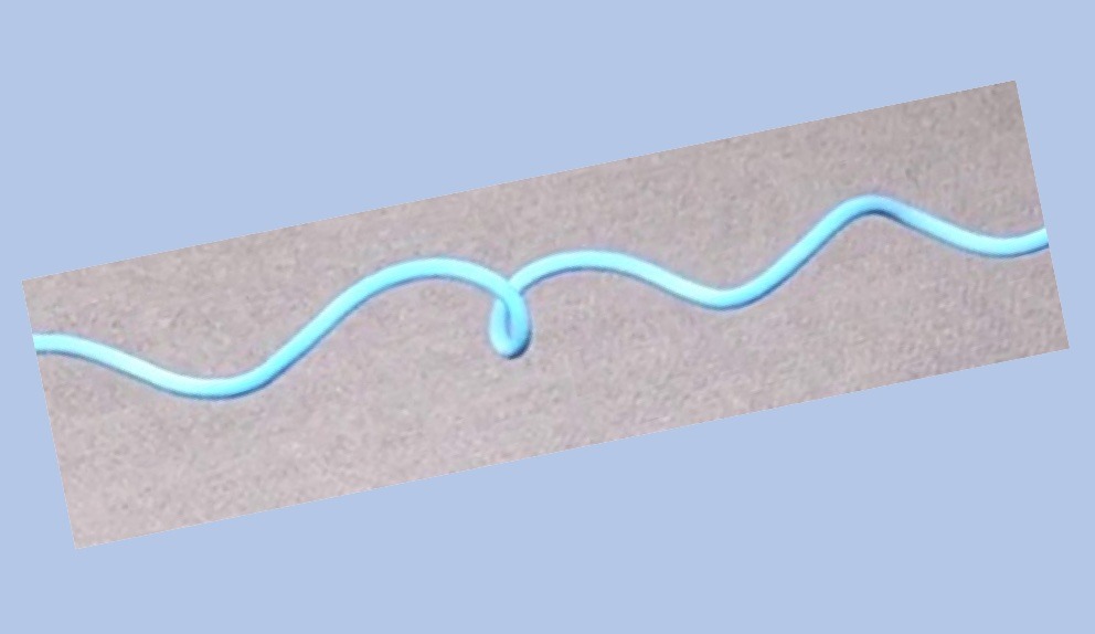 Perversions dans les tiges hélicoïdales élastiques