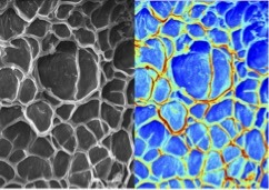 Une approche innovante pour analyser la cinétique de gélification