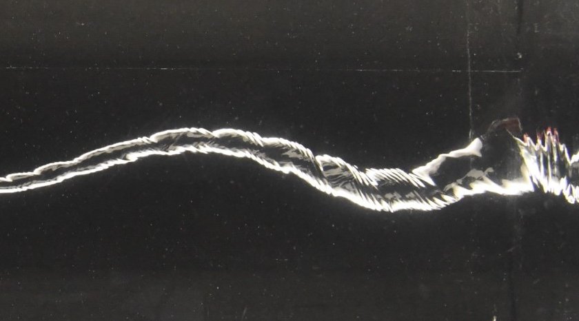 Les ondes de Kelvin : des tourbillons quantiques aux tornades géophysiques