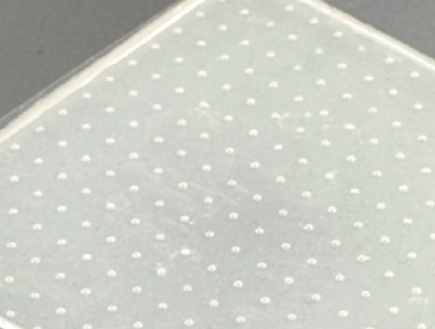 Aquarium anéchoïque