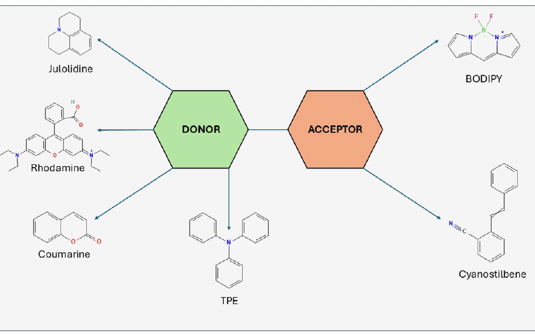 Molecular Rotors: From Newtonian Fluids to Functional Materials as Viscosity and Temperature Sensing Tools